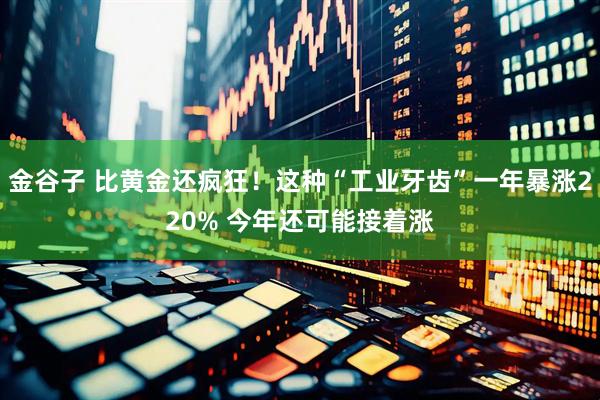 金谷子 比黄金还疯狂！这种“工业牙齿”一年暴涨220% 今年还可能接着涨