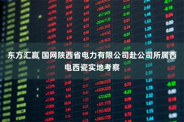 东方汇赢 国网陕西省电力有限公司赴公司所属西电西瓷实地考察