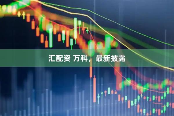 汇配资 万科，最新披露