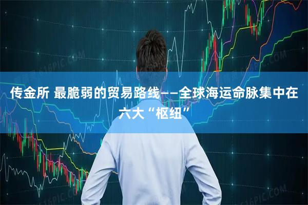 传金所 最脆弱的贸易路线——全球海运命脉集中在六大“枢纽”