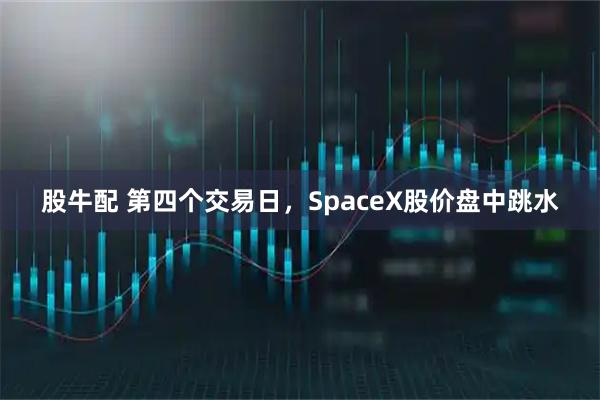 股牛配 第四个交易日，SpaceX股价盘中跳水