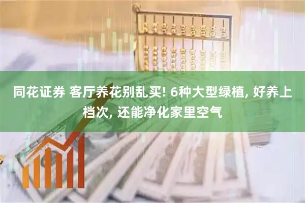 同花证券 客厅养花别乱买! 6种大型绿植, 好养上档次, 还能净化家里空气