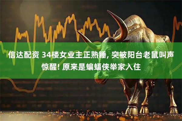 信达配资 34楼女业主正熟睡, 突被阳台老鼠叫声惊醒! 原来是蝙蝠侠举家入住