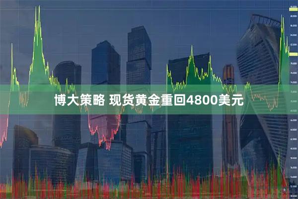 博大策略 现货黄金重回4800美元
