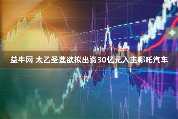 益牛网 太乙圣莲欲拟出资30亿元入主哪吒汽车