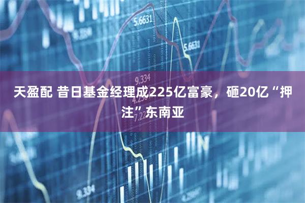 天盈配 昔日基金经理成225亿富豪，砸20亿“押注”东南亚