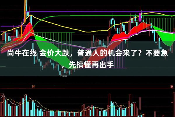 尚牛在线 金价大跌，普通人的机会来了？不要急，先搞懂再出手