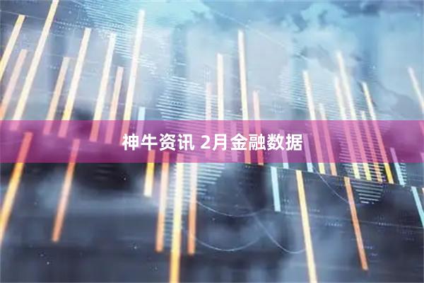 神牛资讯 2月金融数据