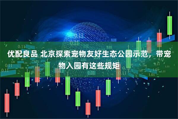 优配良品 北京探索宠物友好生态公园示范，带宠物入园有这些规矩