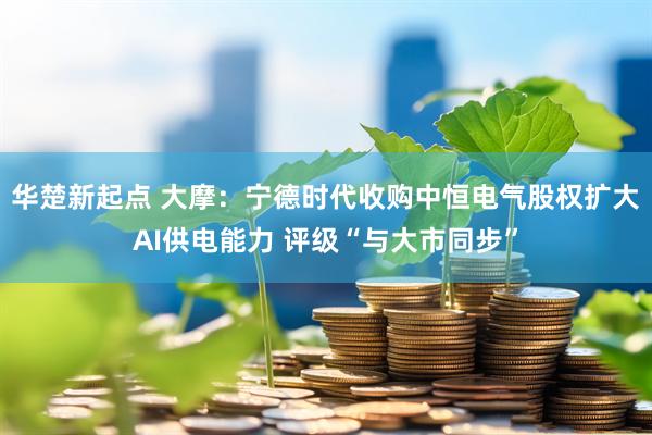 华楚新起点 大摩：宁德时代收购中恒电气股权扩大AI供电能力 评级“与大市同步”