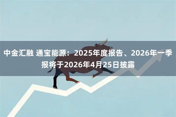 中金汇融 通宝能源：2025年度报告、2026年一季报将于2026年4月25日披露