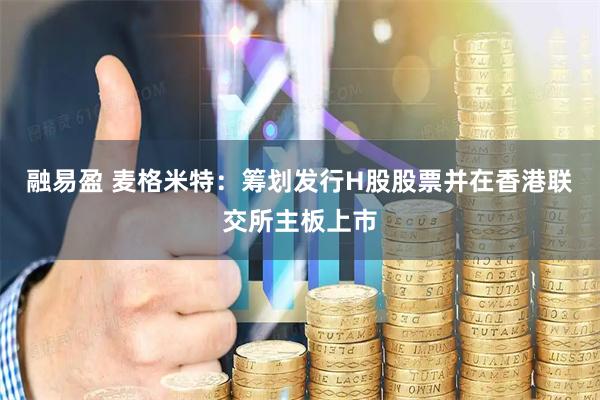 融易盈 麦格米特：筹划发行H股股票并在香港联交所主板上市