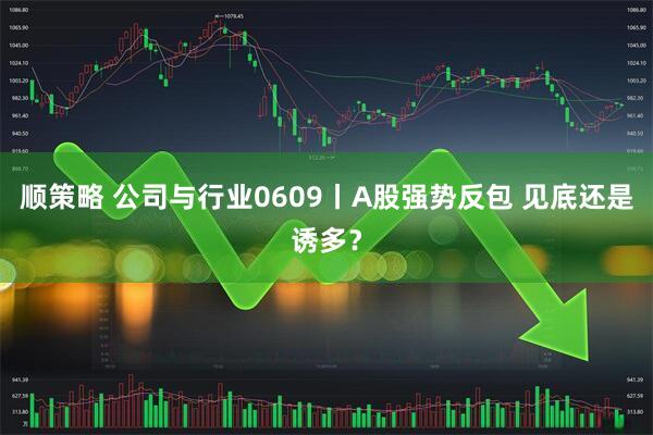 顺策略 公司与行业0609丨A股强势反包 见底还是诱多？