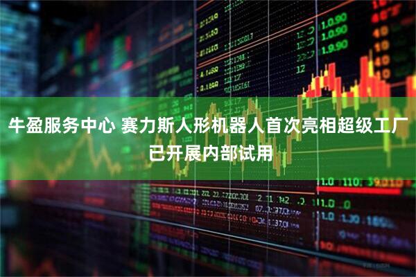 牛盈服务中心 赛力斯人形机器人首次亮相超级工厂 已开展内部试用