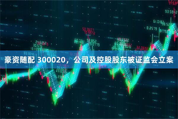 豪资随配 300020，公司及控股股东被证监会立案