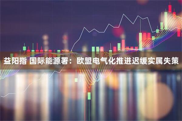 益阳指 国际能源署：欧盟电气化推进迟缓实属失策