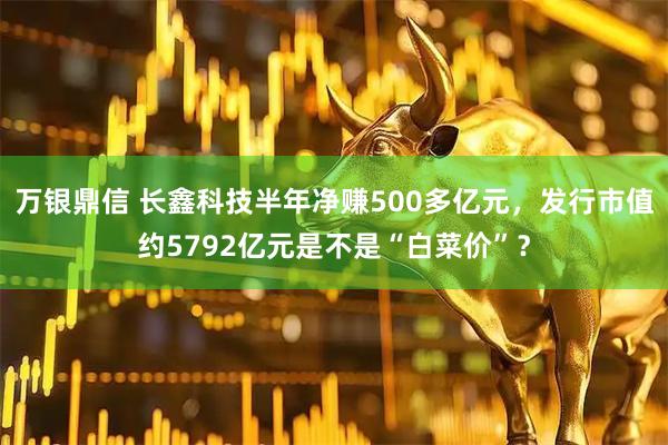 万银鼎信 长鑫科技半年净赚500多亿元，发行市值约5792亿元是不是“白菜价”？
